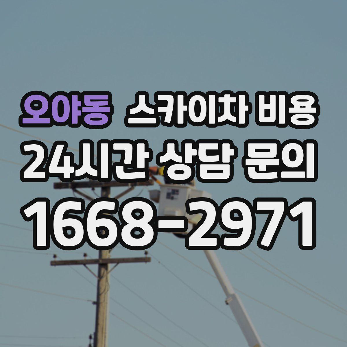 오야동 스카이차 비용