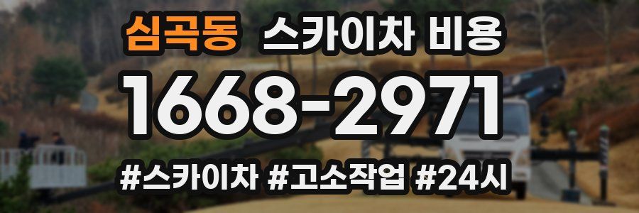 심곡동 스카이차 비용