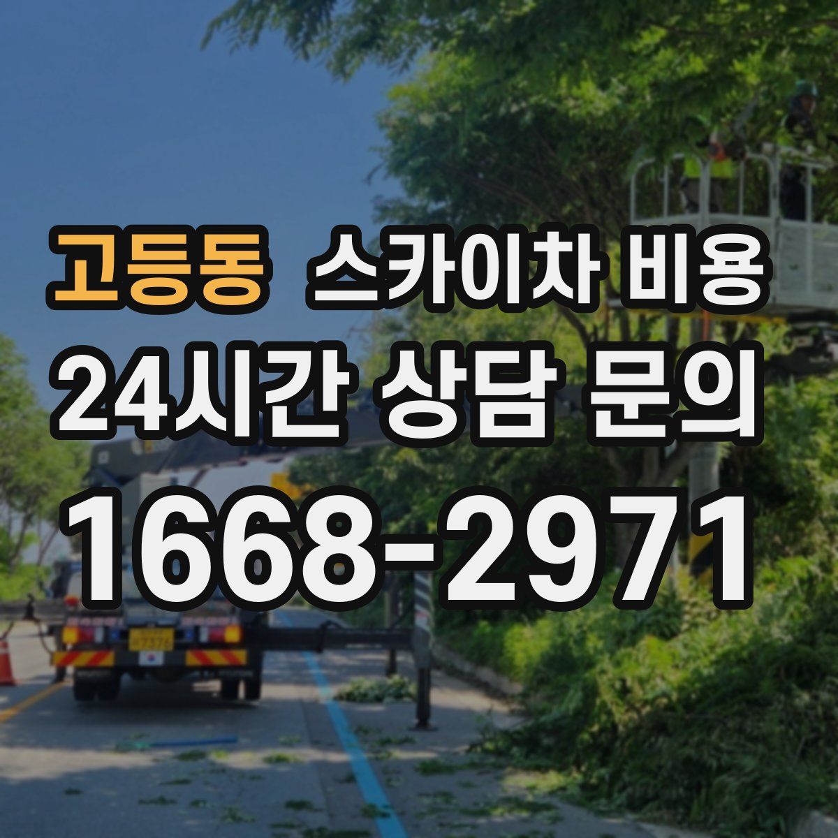 고등동 스카이차 비용
