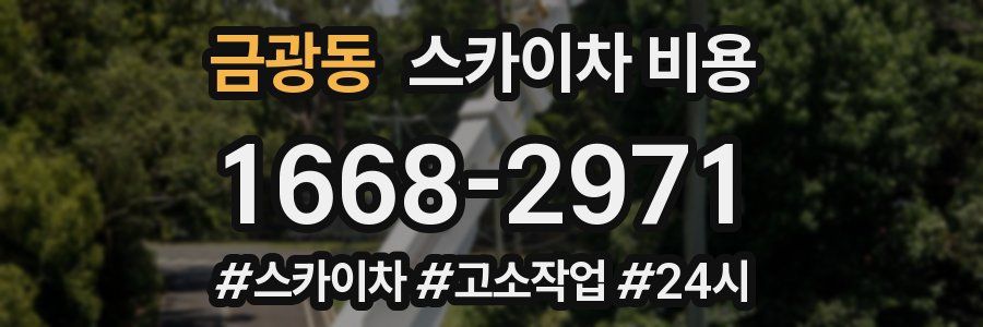 금광동 스카이차 비용