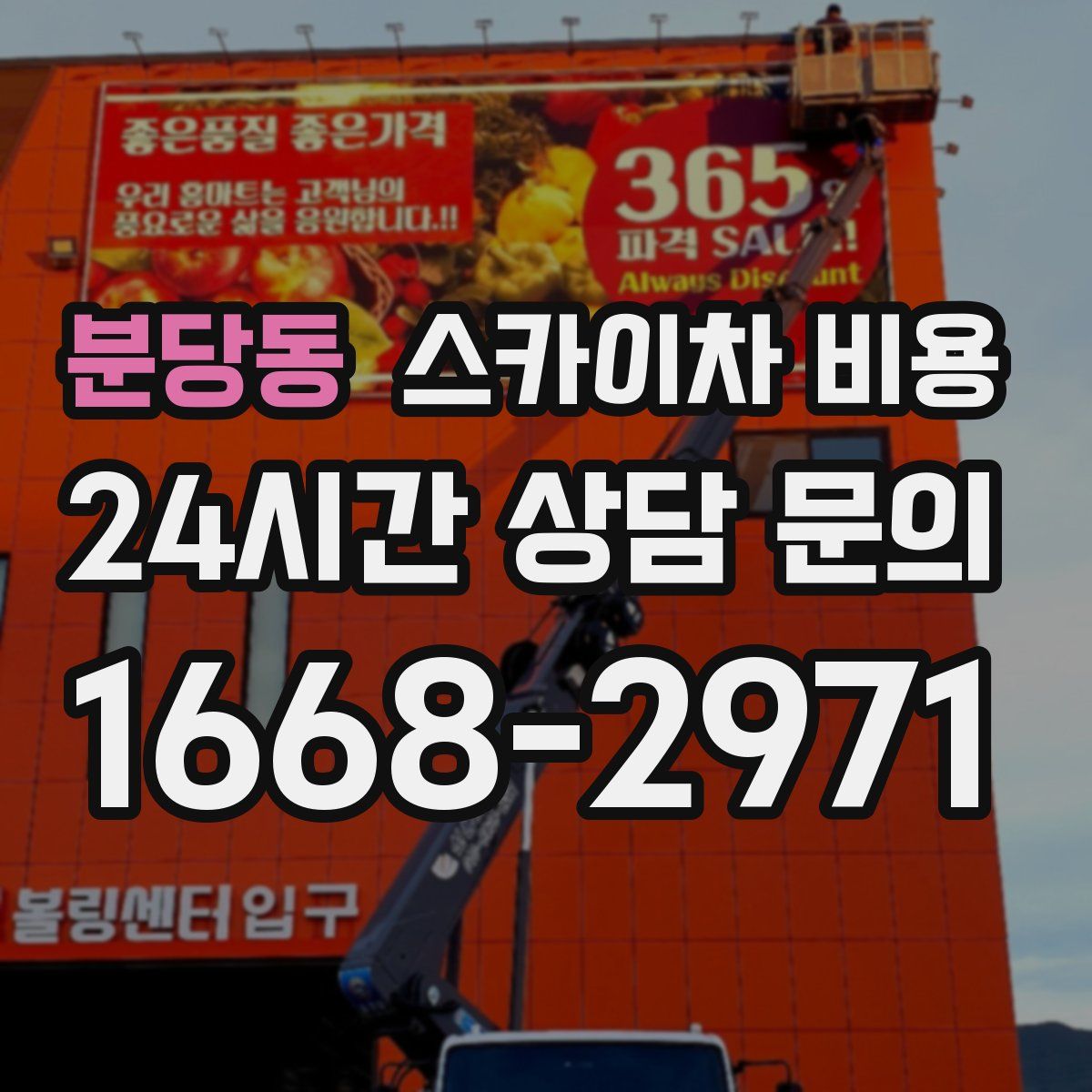 분당동 스카이차 비용