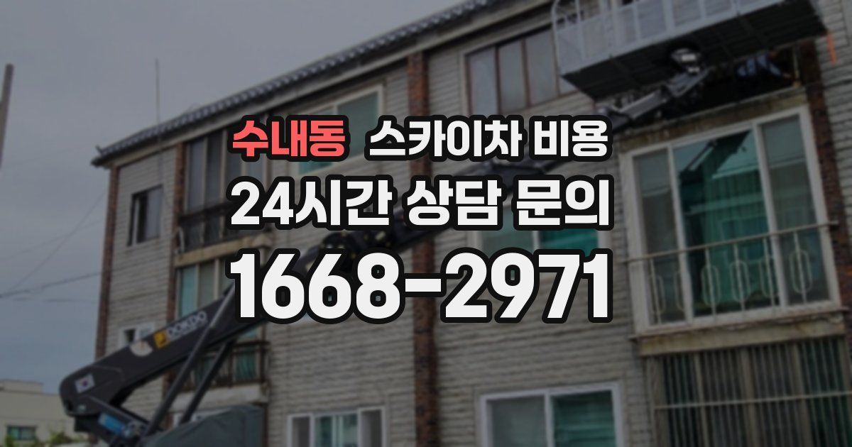 수내동 스카이차 비용