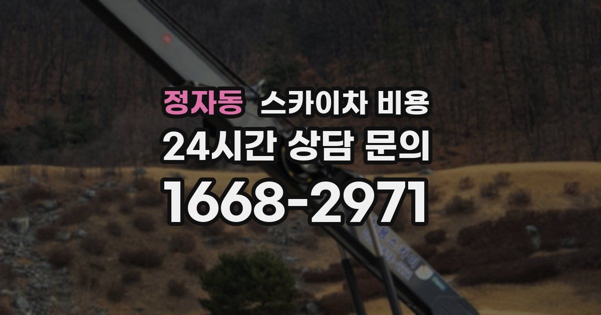 정자동 스카이차 비용