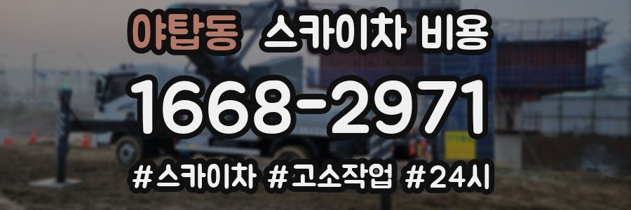 야탑동 스카이차 비용