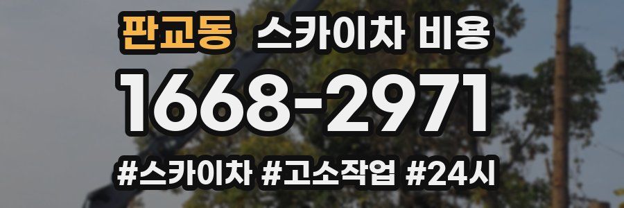 판교동 스카이차 비용