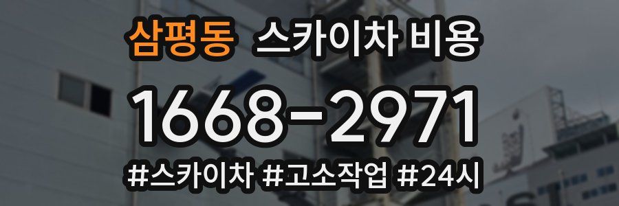 삼평동 스카이차 비용