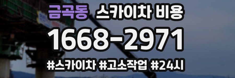 금곡동 스카이차 비용