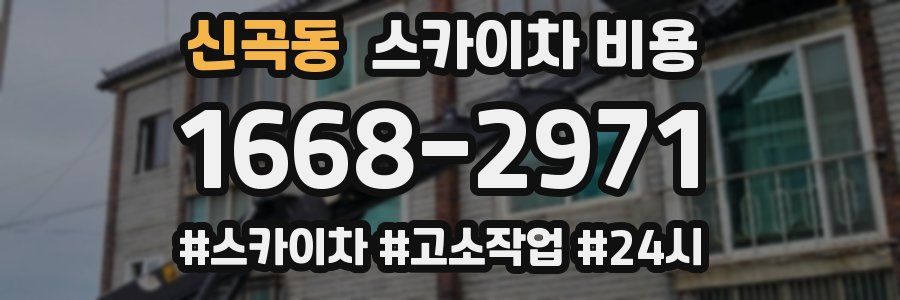 신곡동 스카이차 비용