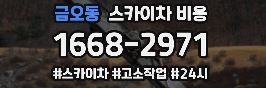 금오동 스카이차 비용