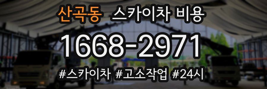 산곡동 스카이차 비용