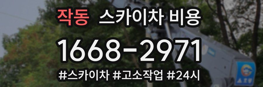 작동 스카이차 비용