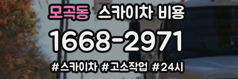 모곡동 스카이차 비용