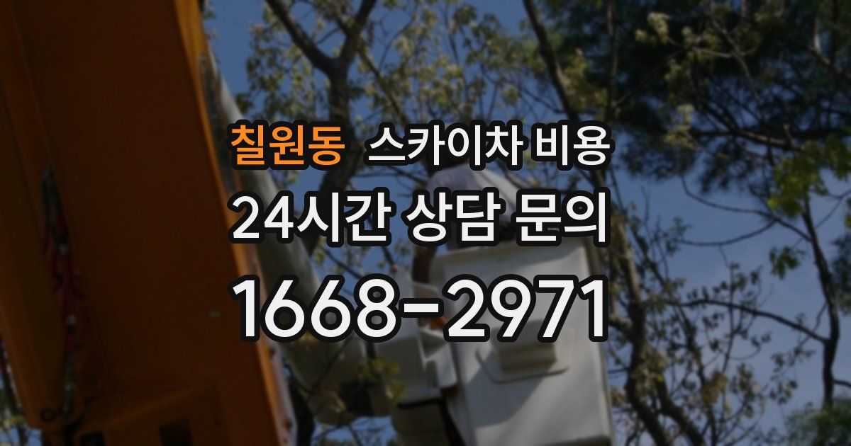 칠원동 스카이차 비용