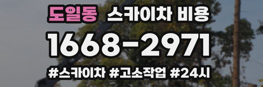 도일동 스카이차 비용