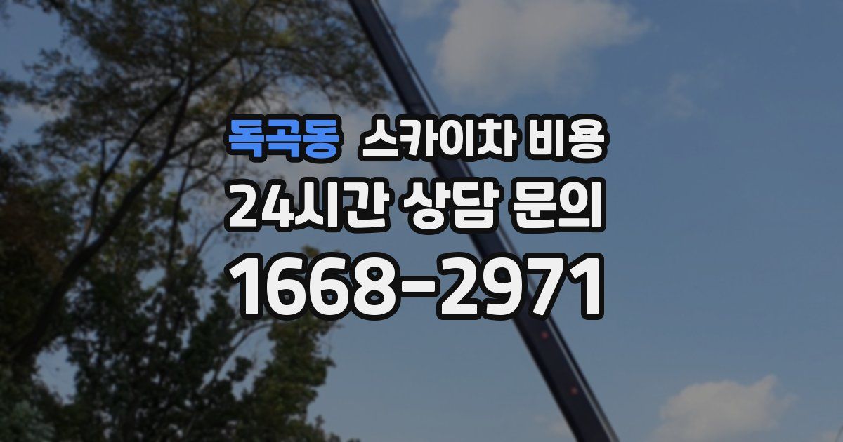 독곡동 스카이차 비용