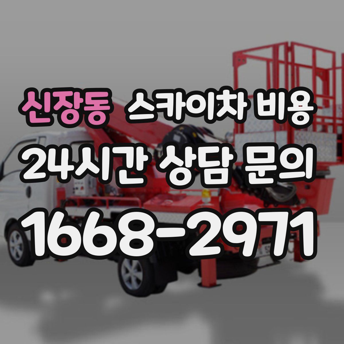 신장동 스카이차 비용