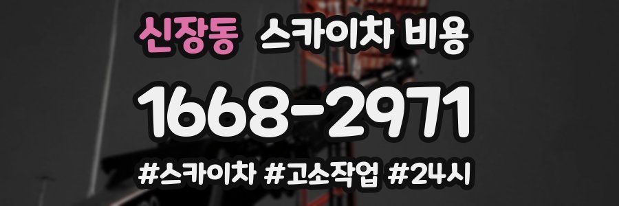 신장동 스카이차 비용