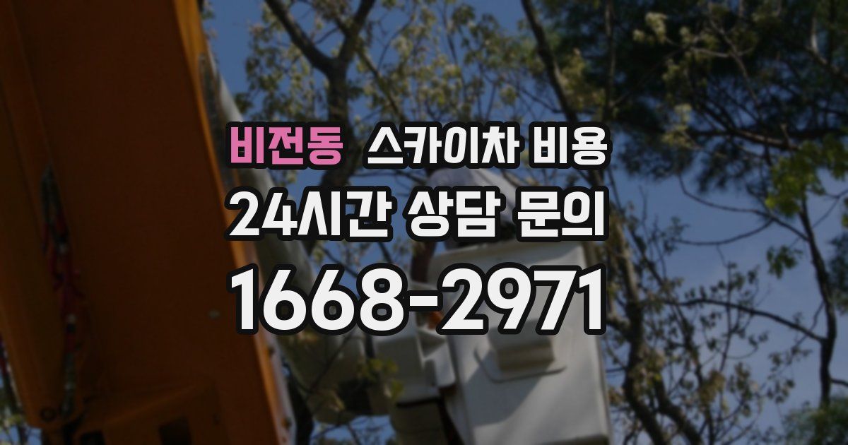 비전동 스카이차 비용