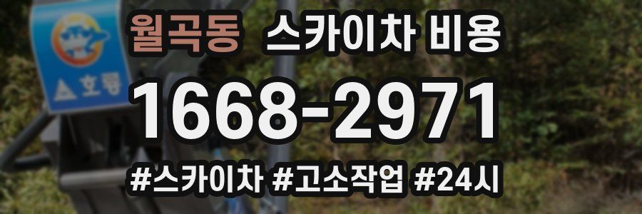 월곡동 스카이차 비용