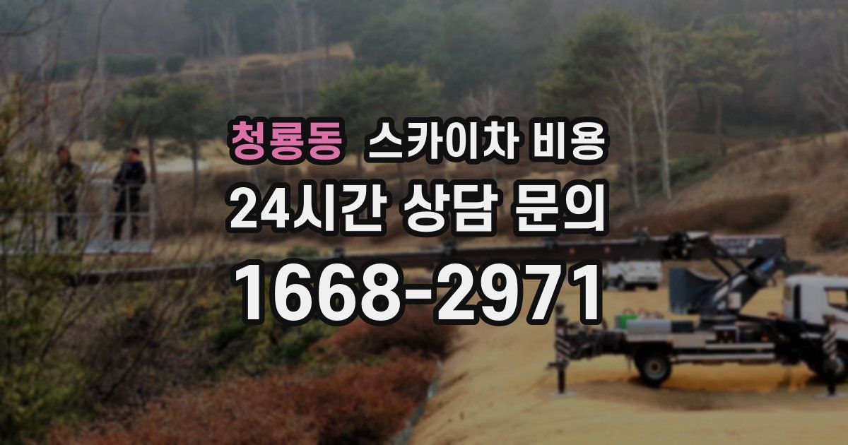 청룡동 스카이차 비용