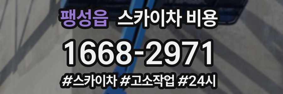 팽성읍 스카이차 비용