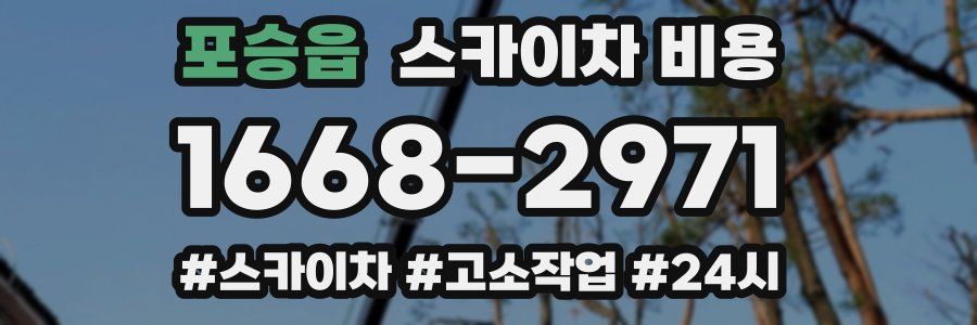 포승읍 스카이차 비용