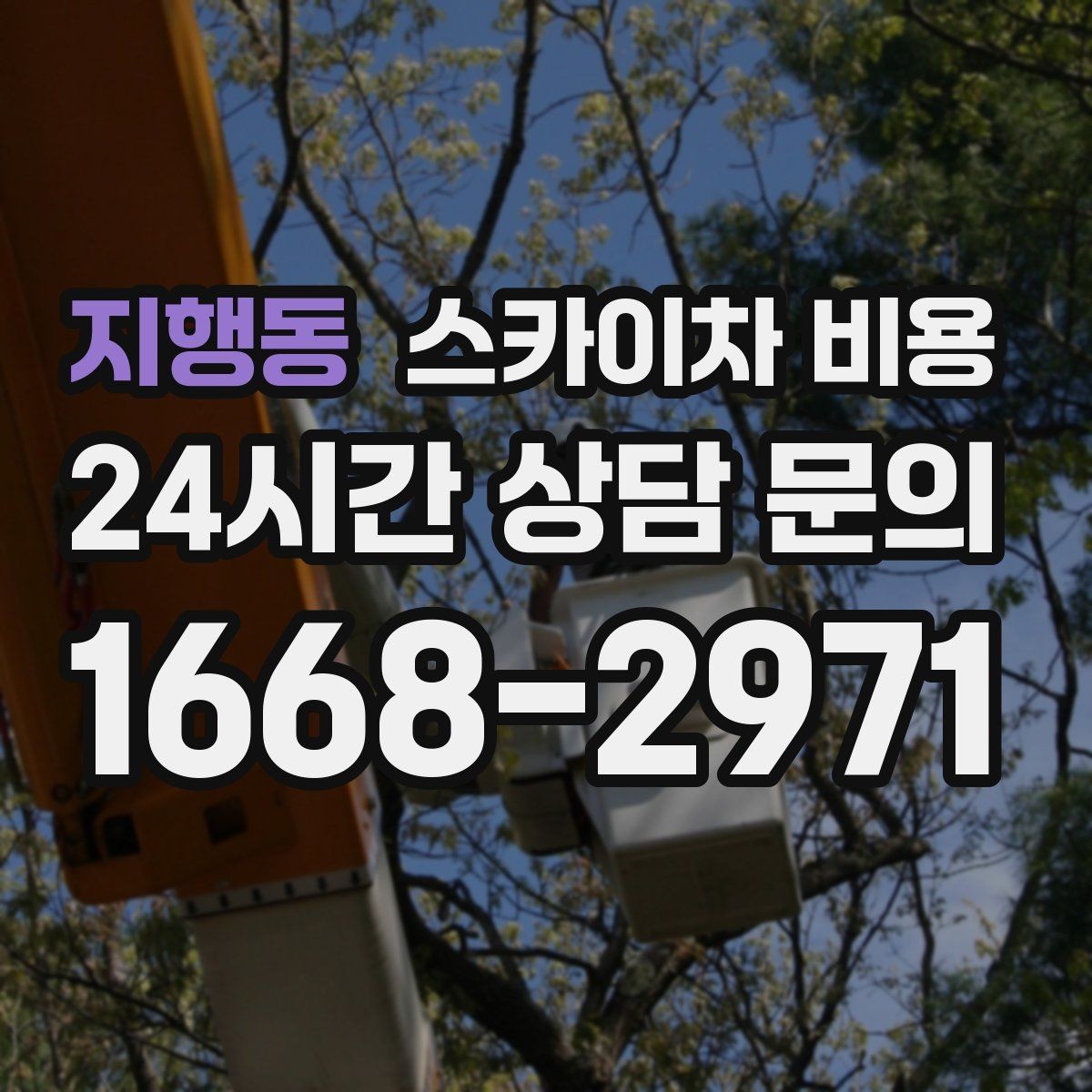 지행동 스카이차 비용 몇 미터 작업인지 모를 때 확인 방법