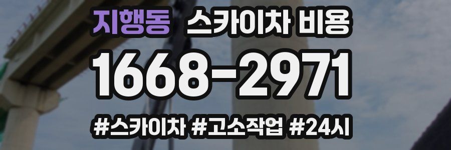 지행동 스카이차 비용