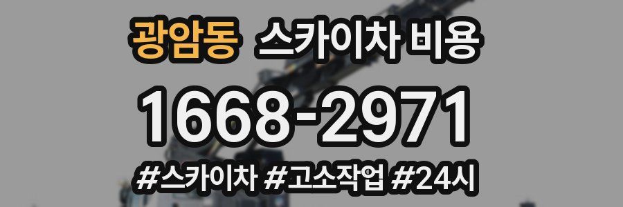 광암동 스카이차 비용