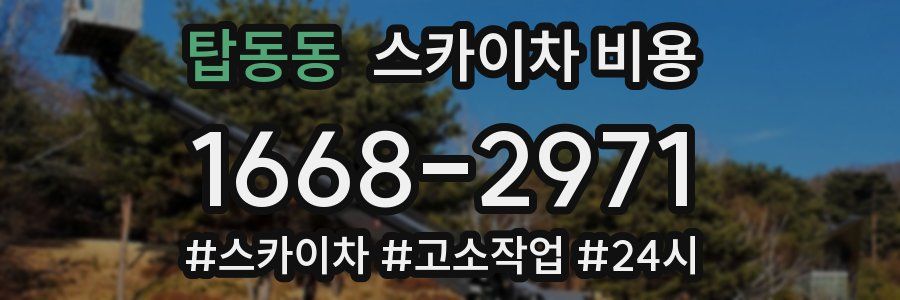 탑동동 스카이차 비용