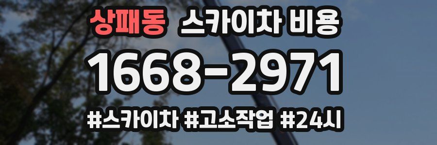 상패동 스카이차 비용