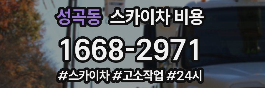 성곡동 스카이차 비용