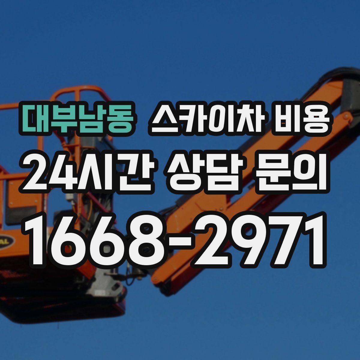대부남동 스카이차 비용 나무 전지 작업은 작업 범위가 핵심입니다