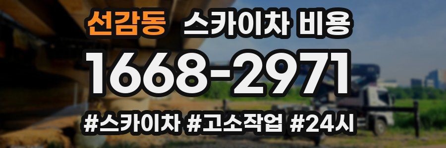 선감동 스카이차 비용