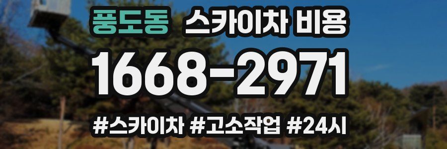 풍도동 스카이차 비용