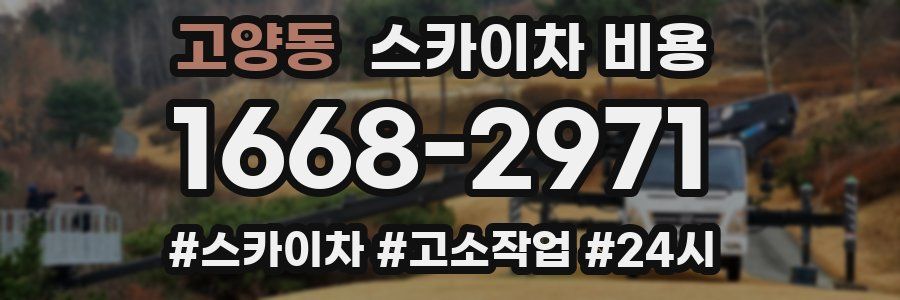 고양동 스카이차 비용