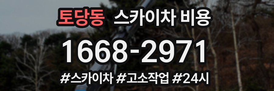 토당동 스카이차 비용