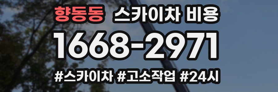 향동동 스카이차 비용