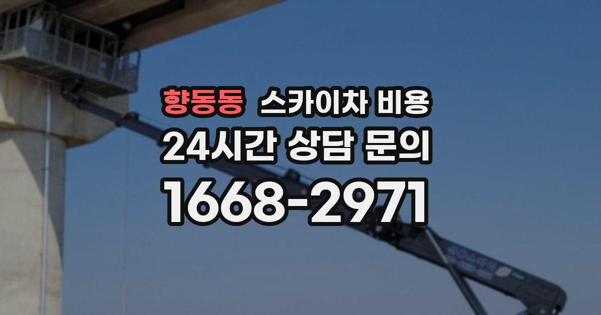 향동동 스카이차 비용