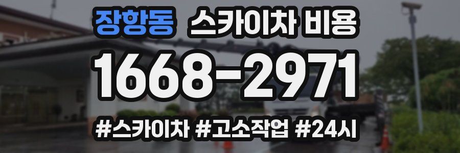 장항동 스카이차 비용