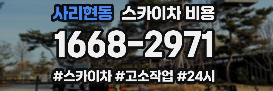 사리현동 스카이차 비용