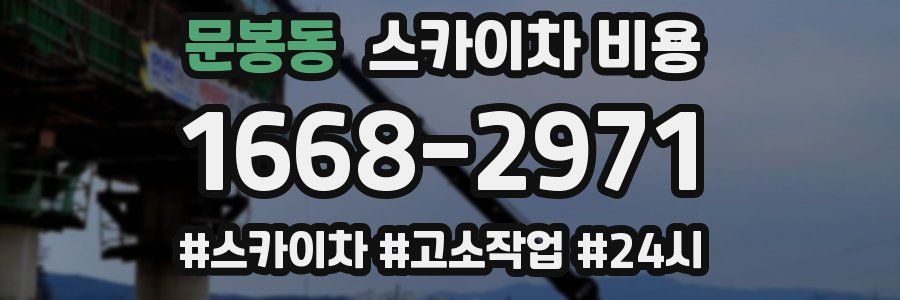 문봉동 스카이차 비용