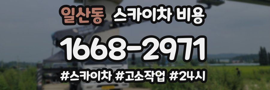 일산동 스카이차 비용