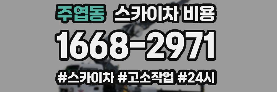 주엽동 스카이차 비용