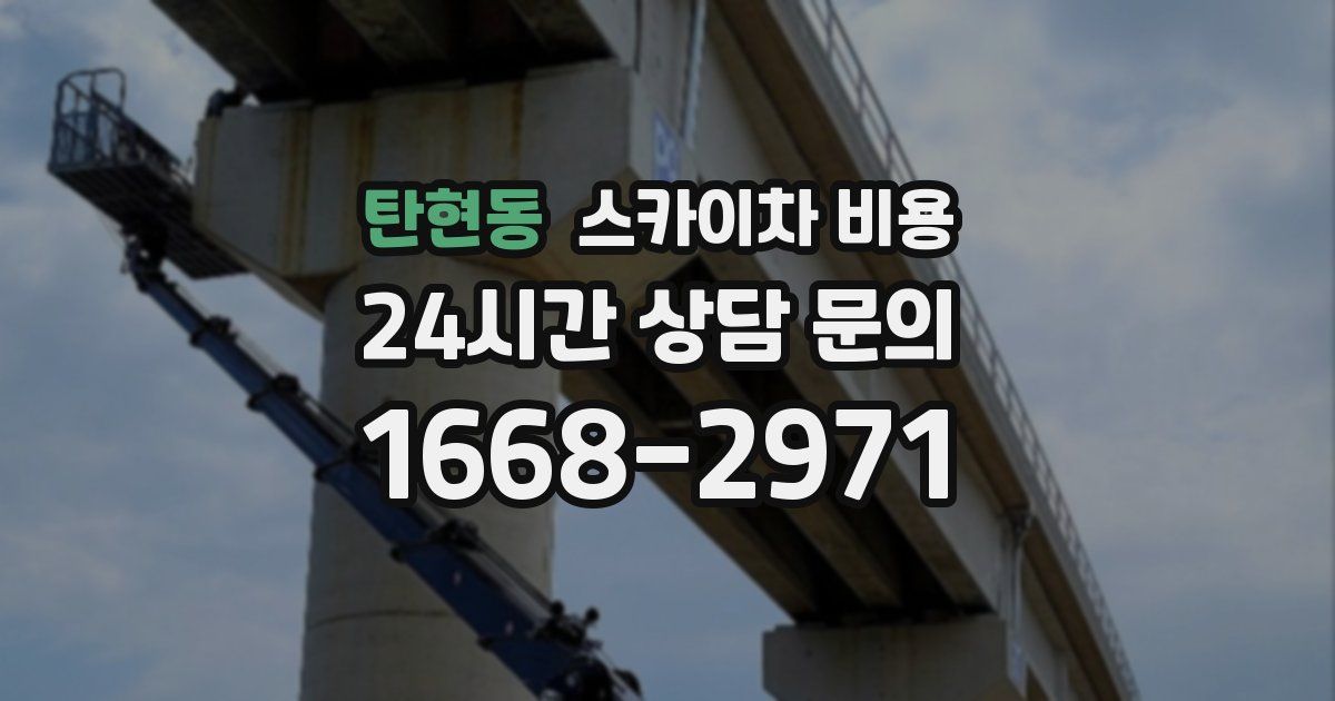 탄현동 스카이차 비용