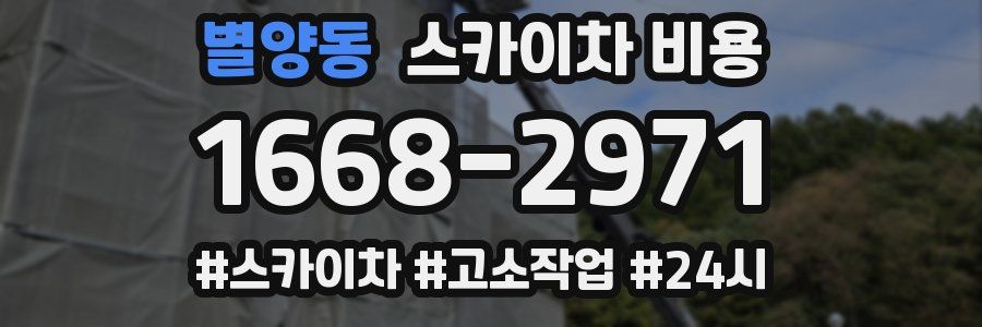 별양동 스카이차 비용