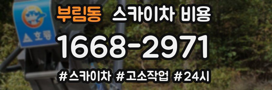 부림동 스카이차 비용