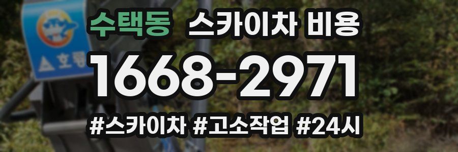 수택동 스카이차 비용