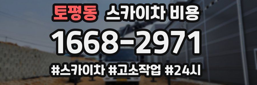 토평동 스카이차 비용