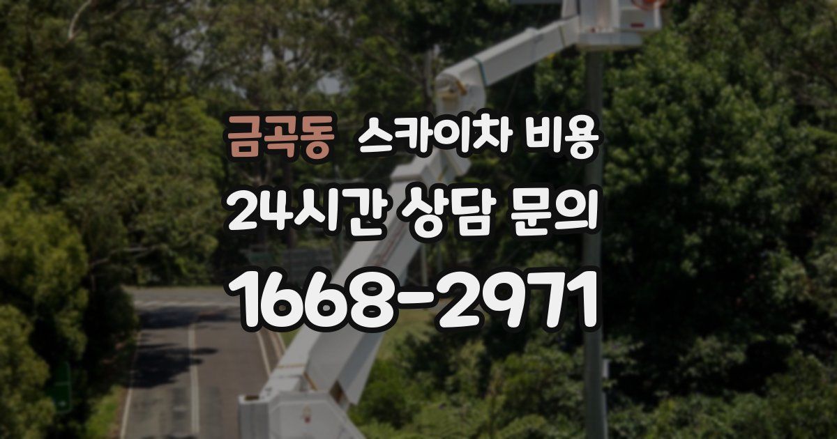 금곡동 스카이차 비용